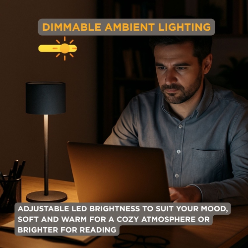 Abbott Classic Solar LED Table Lamp, Solar & USB Rechargeable Light, Dimmable with 3 Brightness Levels – Outdoor-friendly for Patio or Garden, 12",