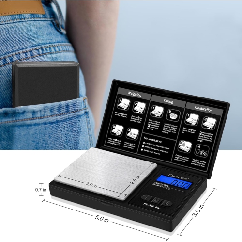 Digital Pocket Scale with 0.01g Accuracy, 500g Digital Gram Scale for Small Foods, Jewelry, Herbs, Spices, Coins - Weighs Grams and Ounces