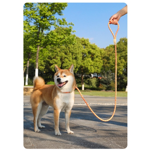 Dog leash, for medium and large dogs, safety buckle, collar, P chain, pet supplies, explosion-proof and non-slip, sky blue, rope length 1.5m diameter