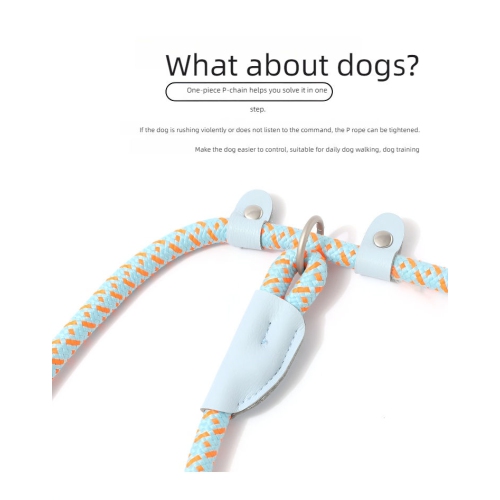 Dog leash, for medium and large dogs, safety buckle, collar, P chain, pet supplies, explosion-proof and non-slip, sky blue, rope length 1.5m diameter