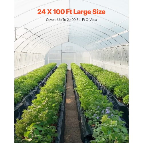 VEVOR 24' x 100' Plastic Sheeting , 6 Mil Thick Plastic Sheeting Roll, Plastic Drop Cloth Painters Tarp, Polyethylene Covering for Crawl Space Vapor