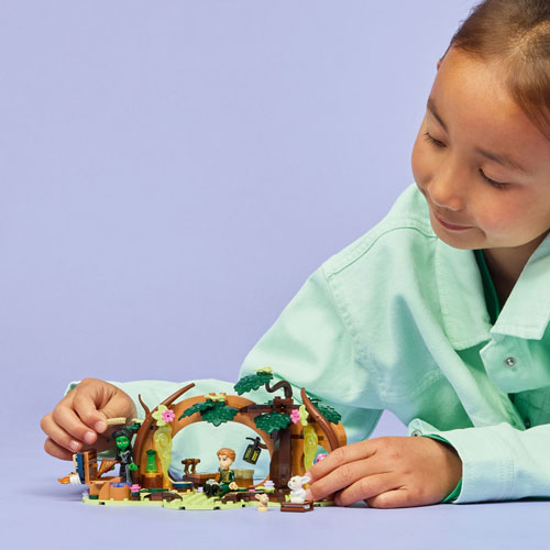 LEGO Wicked : Le repaire d'Elphaba - 228 pièces