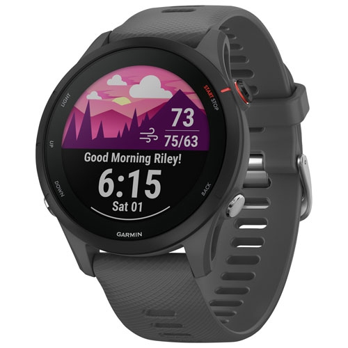 GARMIN  Refurbished (Excellent) - Forerunner 255 46MM Bluetooth Running Smartwatch - Slate In Grey