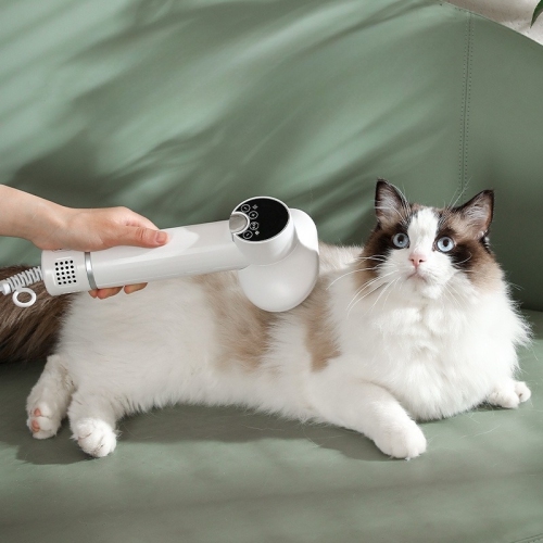 Sèche-cheveux pour chiens, sèche-cheveux pour poils d'animaux, brosse pour sèche-cheveux pour animaux, brosse à vapeur pour chiens, sèche-cheveux