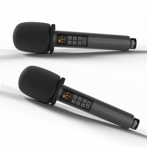 PEAK Karaoke ELITE PRO STAGE I Karaoke System - 1200W