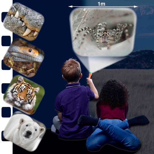 Brainstorm Most Deadly Animal Torch & Projector