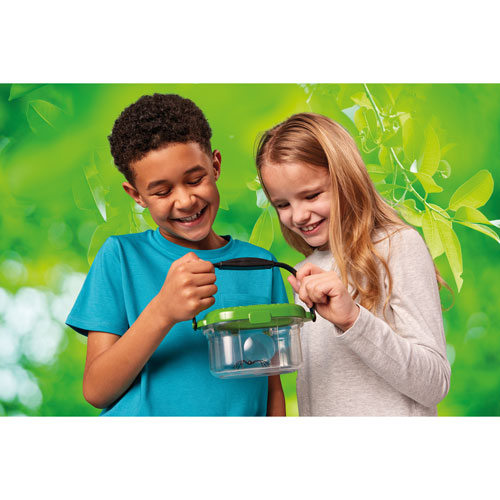 Brainstorm Outdoor Adventure Bug Viewer