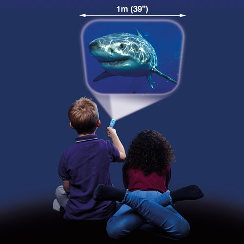 Brainstorm Shark Torch & Projector