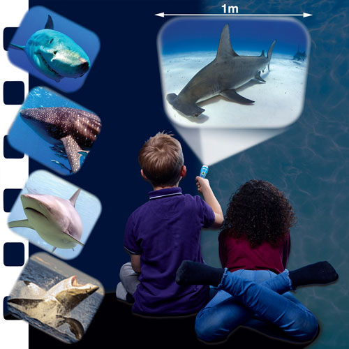 Brainstorm Shark Torch & Projector