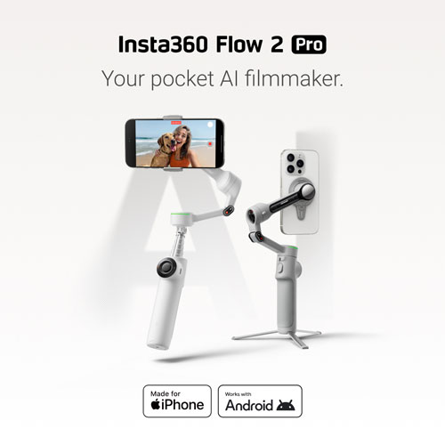 Stabilisateur à cardan pour téléphone intelligent Flow 2 Pro d'Insta360 - Gris