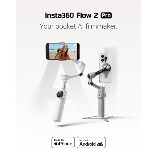 Stabilisateur à cardan pour téléphone intelligent Flow 2 Pro d'Insta360 - Gris