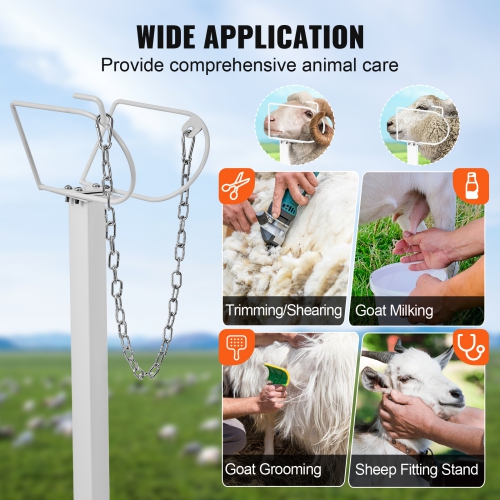 VEVOR 47x23 inch Goat & Sheep Stand, Livestock Stand, Metal Livestock Milking and Shearing Stand 21" to 33" Adjustable Height, with Headpiece and