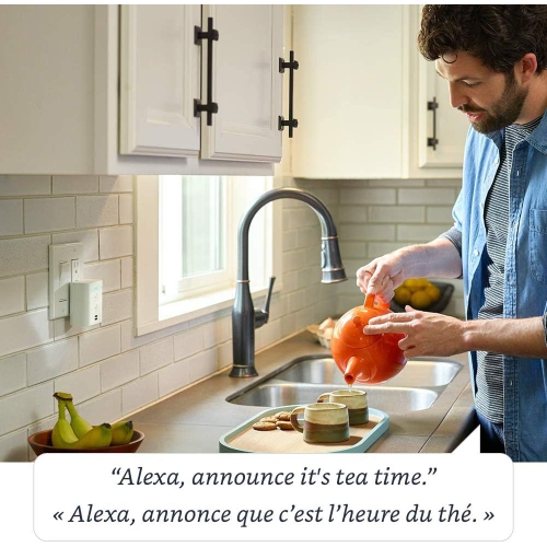 Echo Flex - Mini haut-parleur intelligent à brancher avec Alexa