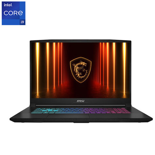 MSI Katana 17 17.3" Gaming Laptop - Black (Intel Core i9-14900HX /32GB RAM/1TB SSD/GeForce RTX 5070/Windows 11)