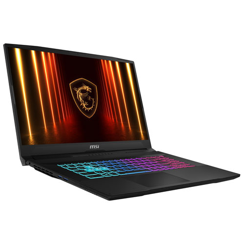 MSI Katana 17 17.3" Gaming Laptop - Black (Intel Core i9-14900HX /32GB RAM/1TB SSD/GeForce RTX 5070/Windows 11)