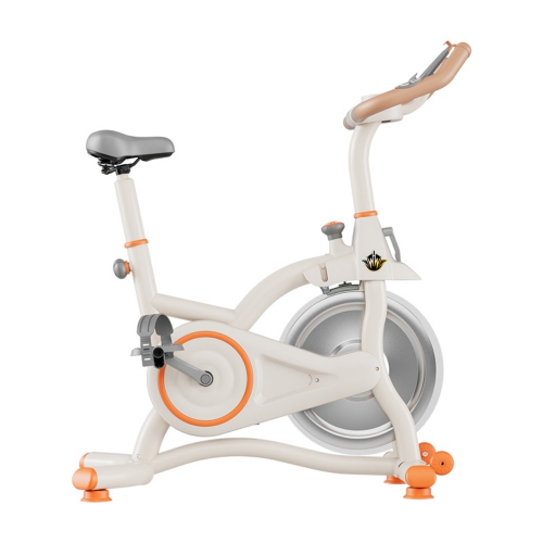 Vélo d'entraînement cardiovasculaire intérieur d'AxGear Vélo stationnaire Fitness Exercise Gym à domicile