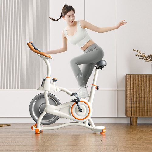 Vélo d'entraînement cardiovasculaire intérieur d'AxGear Vélo stationnaire Fitness Exercise Gym à domicile