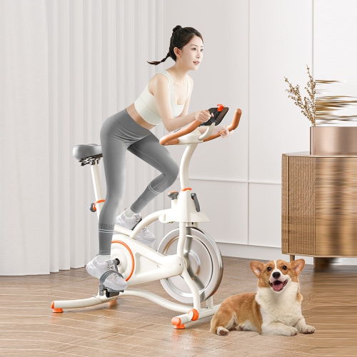 Vélo d'entraînement cardiovasculaire intérieur d'AxGear Vélo stationnaire Fitness Exercise Gym à domicile