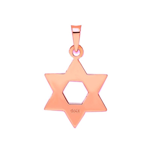 14K Rose Pink Gold Polished Star Of David Pendant
