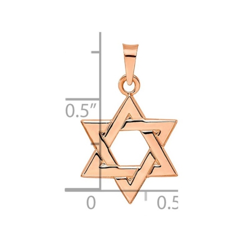 14K Rose Pink Gold Polished Star Of David Pendant
