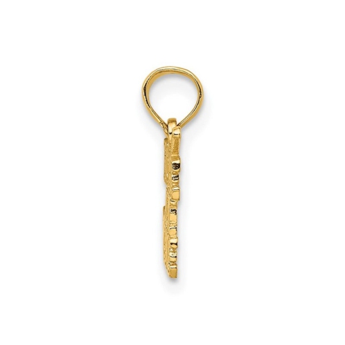 14K Yellow Gold Polished HOLE IN ONE Charm Pendant