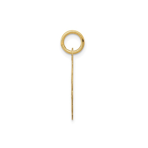 14K Yellow Gold Star of David Disc Charm Pendant