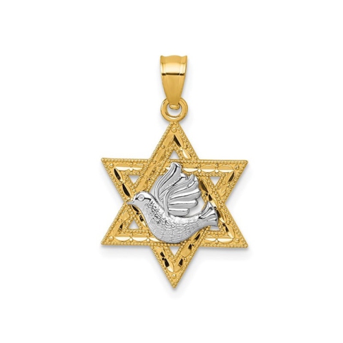 14K Yellow Gold Textured Dove On Star Of David Pendant