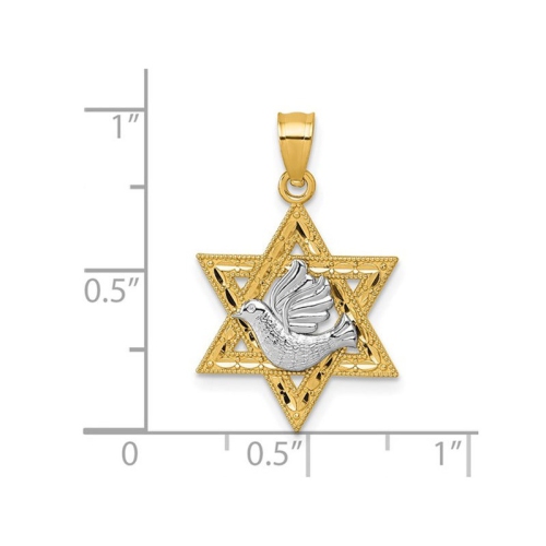 14K Yellow Gold Textured Dove On Star Of David Pendant