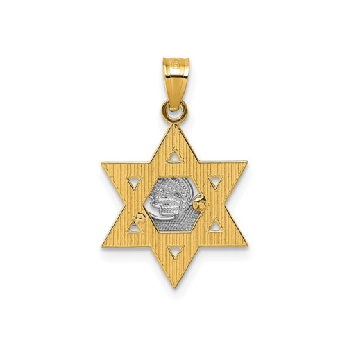 14K Yellow Gold Textured Dove On Star Of David Pendant