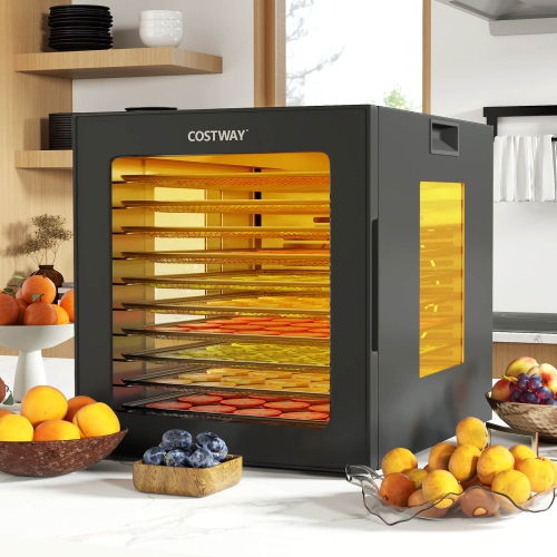 Costway 10 Stainless Steel Trays Dryer with 10 Presets 48H Timer Accessories Included