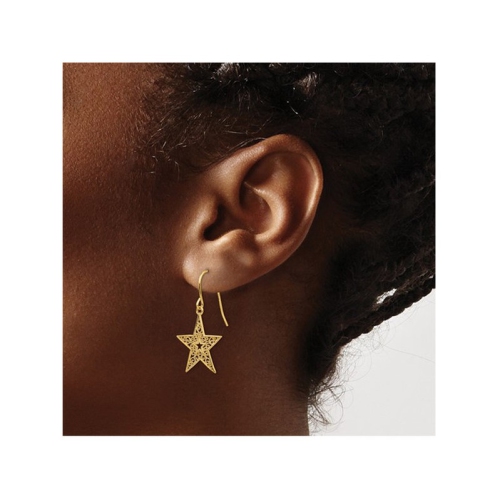 14K Yellow Gold Polished Star Dangle Earrings