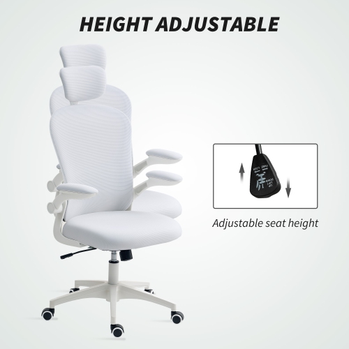 Vinsetto High Back Ergonomic Office Chair with Adjustable Headrest, Mesh Computer Desk Chair with Flip-up Armrest, 4D Lumbar Support, Tilt Function,
