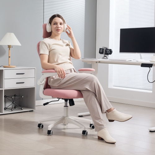 Vinsetto High Back Ergonomic Office Chair with Adjustable Headrest, Mesh Computer Desk Chair with Flip-up Armrest, 4D Lumbar Support, Tilt Function,