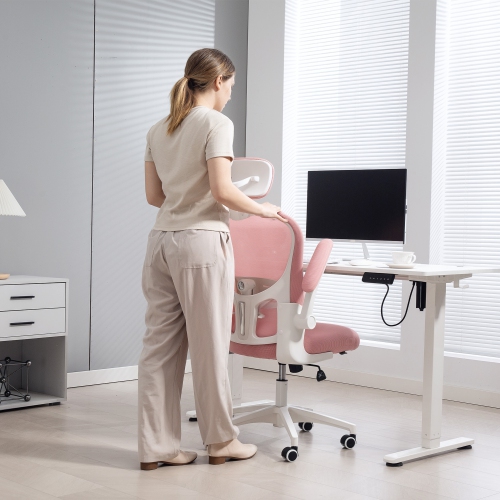 Vinsetto High Back Ergonomic Office Chair with Adjustable Headrest, Mesh Computer Desk Chair with Flip-up Armrest, 4D Lumbar Support, Tilt Function,