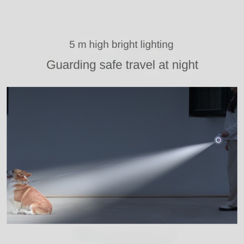 Laisse lumineuse pour chien, petit et moyen chien avec laisse rétractable et légère pour chien, chaîne de chien Teddy qui sort, fournitures pour