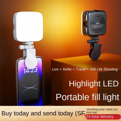 Lampe d'appoint pour égoportraits de téléphone mobile, mini appareil photo reflex portatif beauté photo et vidéo LED lampe d'appoint