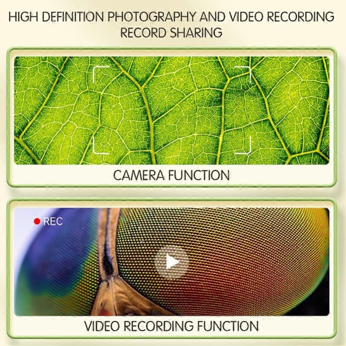 Microscope portatif HD 1000x – Écran IPS de 2&nbsp;po/gradation 8LED/observation en temps réel par ordinateur Outil d'exploration scientifique pour