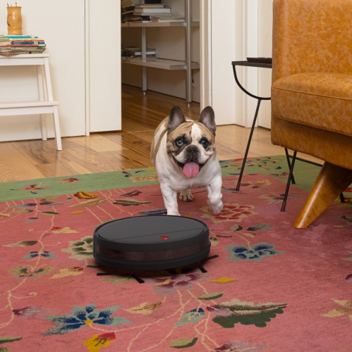 Aspirateur robot Charlotte de Bobsweep, charbon - ANG