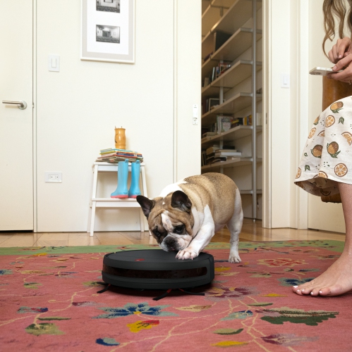 Aspirateur robot Charlotte de Bobsweep, charbon - ANG