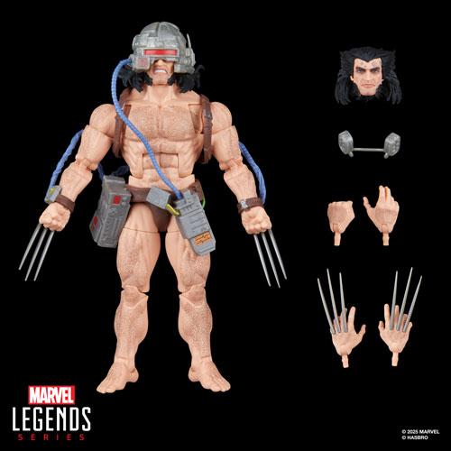 Hasbro Marvel Legends Series - Wolverine (Weapon X) Action Figure