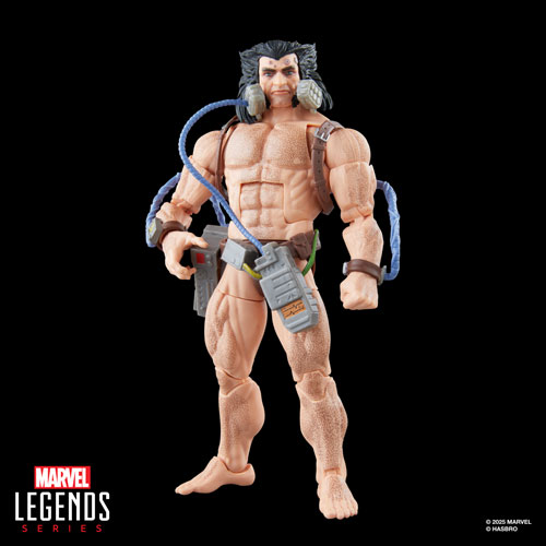 Hasbro Marvel Legends Series - Wolverine (Weapon X) Action Figure