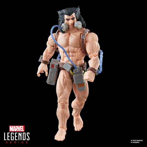 Hasbro Marvel Legends Series - Wolverine (Weapon X) Action Figure