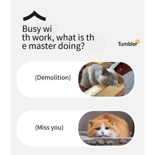 Smart automatic dog walking ball dog toy ball bite-resistant self-entertainment pet cat entertainment artifact dog ball kitten Dudu ball