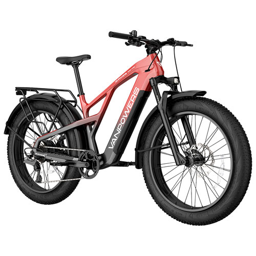 Vanpowers Grand Teton Pro Step-Through Fat-Tire Electric City Bike (750W Motor/149km Range/32km/h Top Speed)-Black