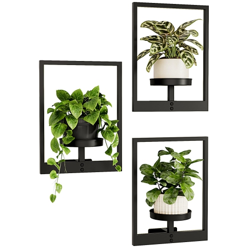 MYACUC  Wall Planters for Indoor Plants Hanging Planter for Indoor Plants Plant Stand Indoor Wall Decor Hanger Window Plant Shelves 3 Pack for Living