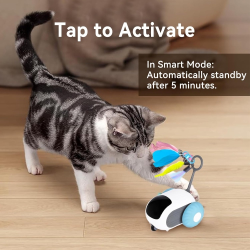Remote Control Cat Toy, Interactive Cat Toy for Indoor Cats, Automatic Kitten Toy, 2 Speed Adjustment, USB Charging, Rechargeable Motion Cat Toy,