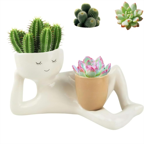 MYACUC  Funny Flower Pots, Cute Avatar Flower Pot Ornaments, Indoor Succulent Flower Pots, Suitable for Home Garden Decoration (Flower Pots Only)