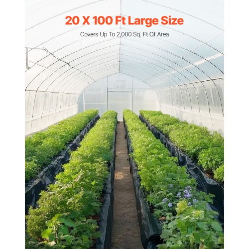 VEVOR 10 Mil Plastic Sheeting Heavy Duty 20' x 100', Thick Plastic Sheeting Roll, Plastic Drop Cloth Painters Tarp, Polyethylene Covering for Crawl