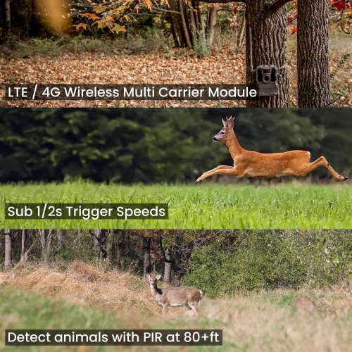 TACTACAM Reveal XB Cellular Trail Camera, No Glow - Verizon & AT&T Reveal 32GB SD Card and Lens Cloth