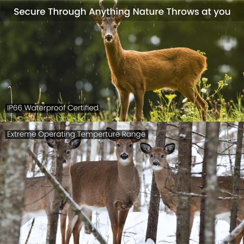 TACTACAM Reveal XB Cellular Trail Camera, No Glow - Verizon & AT&T Reveal 32GB SD Card and Lens Cloth